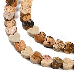 Natural Picture Jasper Beads Strands&nbsp;G-M403-A10-02