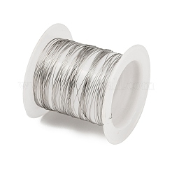 304 Stainless Steel Wire&nbsp;STAS-A115-01P-0.3mm