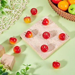 10Pcs Plastic Pendants&nbsp;KY-TADJ0001-01B