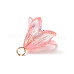 Acrylic Pendants&nbsp;X-PALLOY-TA00023