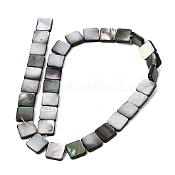 Natural Black Lip Shell Beads Strands&nbsp;SHEL-A006-09B