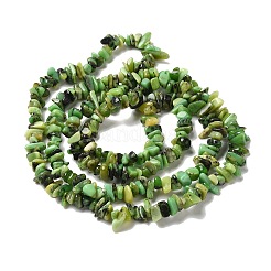 Natural Chrysoprase Beads Strands&nbsp;G-G999-C01