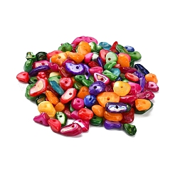 Natural Dyed Shell Beads&nbsp;G-YW0001-15