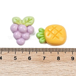 Fruit Theme Opaque Resin Cabochons&nbsp;CRES-C016-01