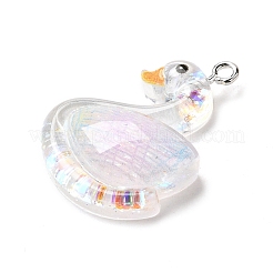 Transparent Resin Pendants&nbsp;RESI-H036-01E