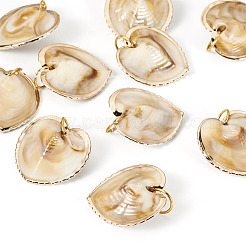 10Pcs Natural Shell Pendants&nbsp;PALLOY-TAC0204
