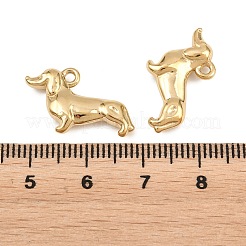 304 Stainless Steel Pendants&nbsp;STAS-L022-590G