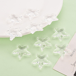 Transparent Acrylic Beads&nbsp;TACR-S154-58B-205