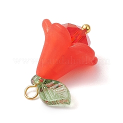 6Pcs Acrylic & Glass Pendants&nbsp;PALLOY-TA00192