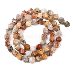 Natural Crazy Agate Beads Strands&nbsp;G-P611-C06-01