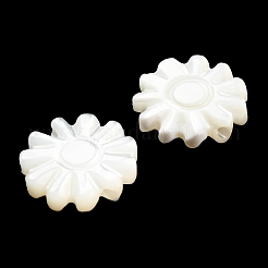 Natural Trochid Shell/Trochus Shell Beads&nbsp;SSHEL-R145-01
