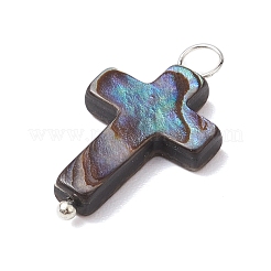 Natural Abalone Shell/Paua Shell Pendants&nbsp;PALLOY-JF02701-03