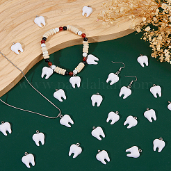 30Pcs  Resin Pendants&nbsp;RESI-FH0001-69