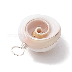 Natural Shiva Eye Shell Copper Wire Wrapped Pendants&nbsp;PALLOY-JF02680-02