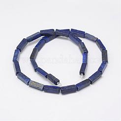 Natural Lapis Lazuli Beads Strands&nbsp;G-E342-11