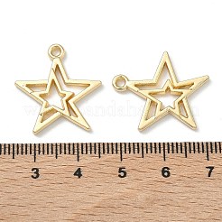 Alloy Pendants&nbsp;PALLOY-A025-03A-G