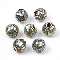 Natural White Shell Beads&nbsp;SSHEL-N034-131