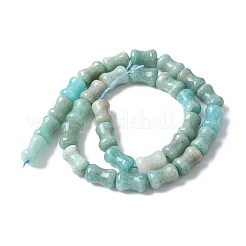 Natural Amazoniten Beads Strands&nbsp;G-M445-B01-01
