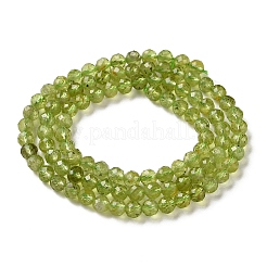 Natural Peridot Beads Strands&nbsp;G-Z150-A01-4mm