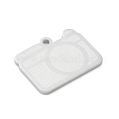 304 Stainless Steel Pendants&nbsp;SA-CBAE115-16P