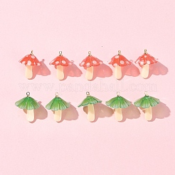 10Pcs 2 Colors Plastic Pendants&nbsp;KY-FS0001-34A