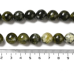 Natural Xiuyu Jade Beads Strands&nbsp;G-H298-A08-05