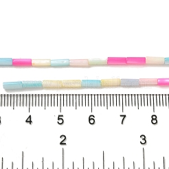 Rainbow Color Dyed Natural Freshwater Shell Beads Strands&nbsp;X1-SHEL-G018-02A