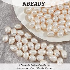 2 Strands Natural Cultured Freshwater Pearl Beads Strands&nbsp;PEAR-NB0001-70