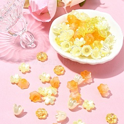 DIY Flower Plastic & Acrylic Beads Jewelry Making Finding Kit&nbsp;DIY-YW0008-78A