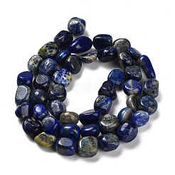 Natural Lapis Lazuli Beads Strands&nbsp;G-P497-01E-03A