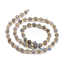 Natural Labradorite Beads Strands&nbsp;G-P463-35