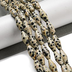 Natural Dalmatian Jasper Beads Strands&nbsp;G-A223-A08-01