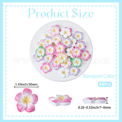 Plumeria Flower Opaque Resin Cabochons&nbsp;CRES-BM0001-01B