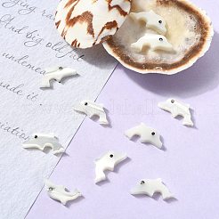 10Pcs Natural Trochid Shell/Trochus Shell Beads&nbsp;SSHEL-CJ0001-17