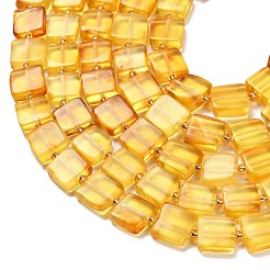 Natural Amber Beads Strands&nbsp;G-C260-A01-01