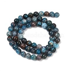 Round Natural Apatite Beads Strands&nbsp;G-K068-02-6mm-01