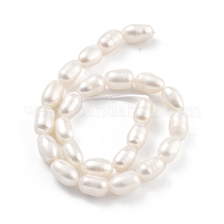 Natural Cultured Freshwater Pearl Beads Strands&nbsp;PEAR-P062-06E