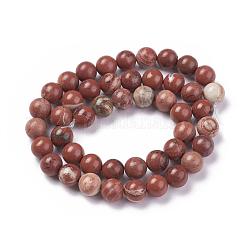 Natural Red Jasper Beads Strands&nbsp;G-F348-02-8mm