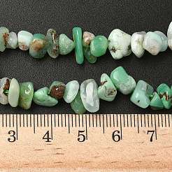 Natural Chrysoprase Beads Strands&nbsp;G-G0004-D01-A