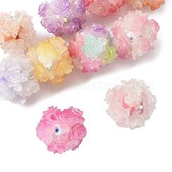 10Pcs 10 Colors Resin Beads&nbsp;RESI-FS0002-24B