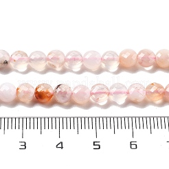 Natural Cherry Blossom Agate Beads Strands&nbsp;G-C179-A27-01
