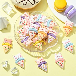 30Pcs 5 Styles Opaque Resin Imitation Animal Pizza Cabochons&nbsp;RESI-CJ0003-67