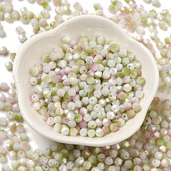 Two Tone Baking Paint Glass Seed Beads&nbsp;SEED-C004-03B