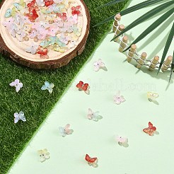 60Pcs 6 Colors Glass Charms&nbsp;GLAA-YW0005-81