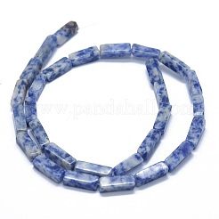 Natural Blue Spot Jasper Beads Strands&nbsp;G-F631-E04