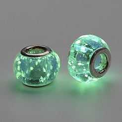Handmade Luminous Lampwork European Beads&nbsp;LAMP-Q029-35D