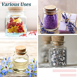 Glass Bottle&nbsp;CON-CP0001-006B