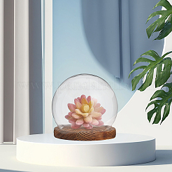 Glass Dome Cover&nbsp;DJEW-WH0039-70