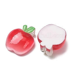 Fruit Theme Opaque Resin Imitation Food Pendants&nbsp;RE-CBA49A8-04D