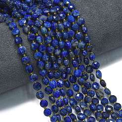 Dyed Natural Lapis Lazuli Beads Strands&nbsp;G-K389-B03-01